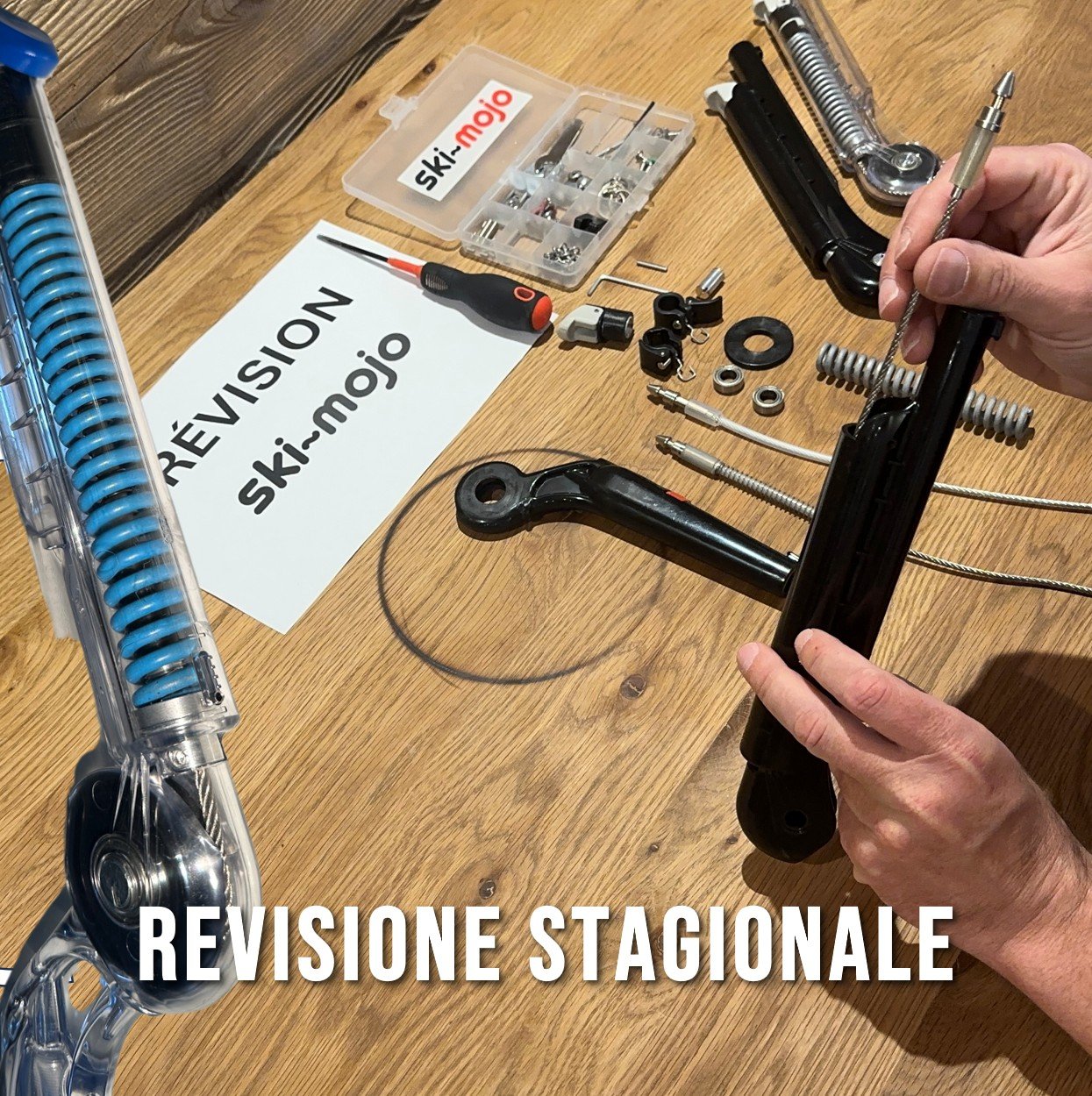 Revisione Stagionale